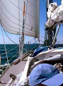 SY Siandra Swan 40