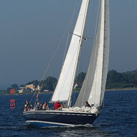 Swan 431
