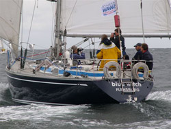 Swan431